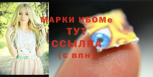 хмурый Абаза