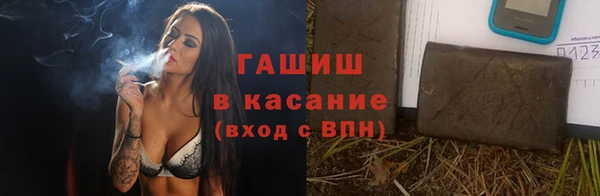 хмурый Абаза