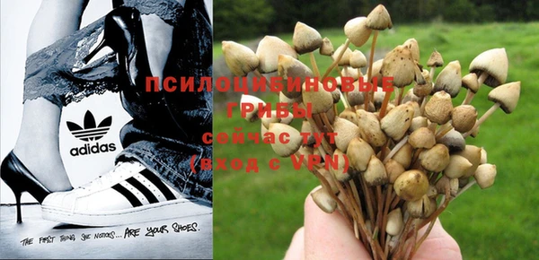 ALPHA PVP Остров