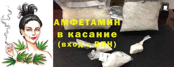 гашик Осинники